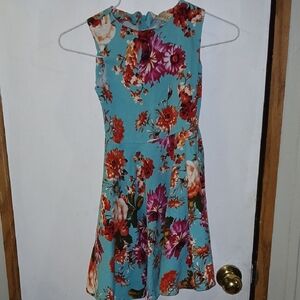 Red and Pink Sleeveless Fit and Flare Sundress for Cocktail